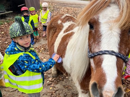 Návštěva koní - Lesolg