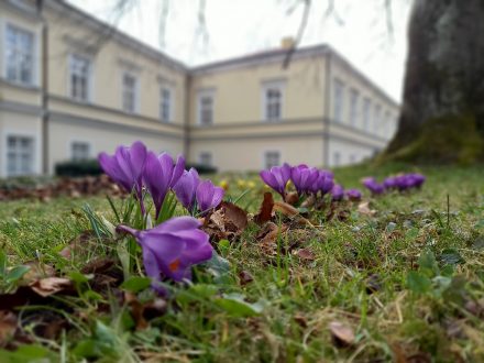 Fotografická soutěž březen