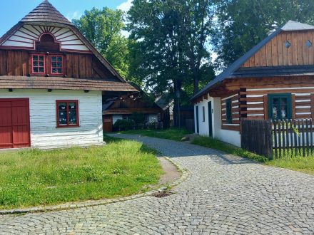 Výlet škola