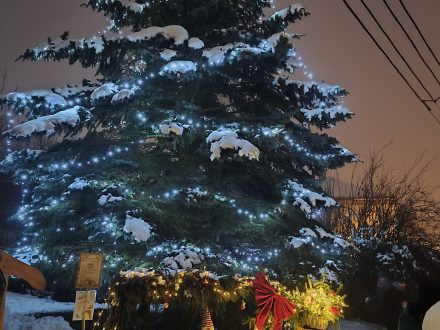 Rozsvícení vánočního stromu