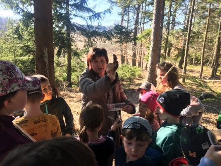 Badatelský kroužek v přírodě