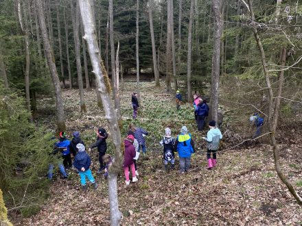 Badatelský kroužek v přírodě